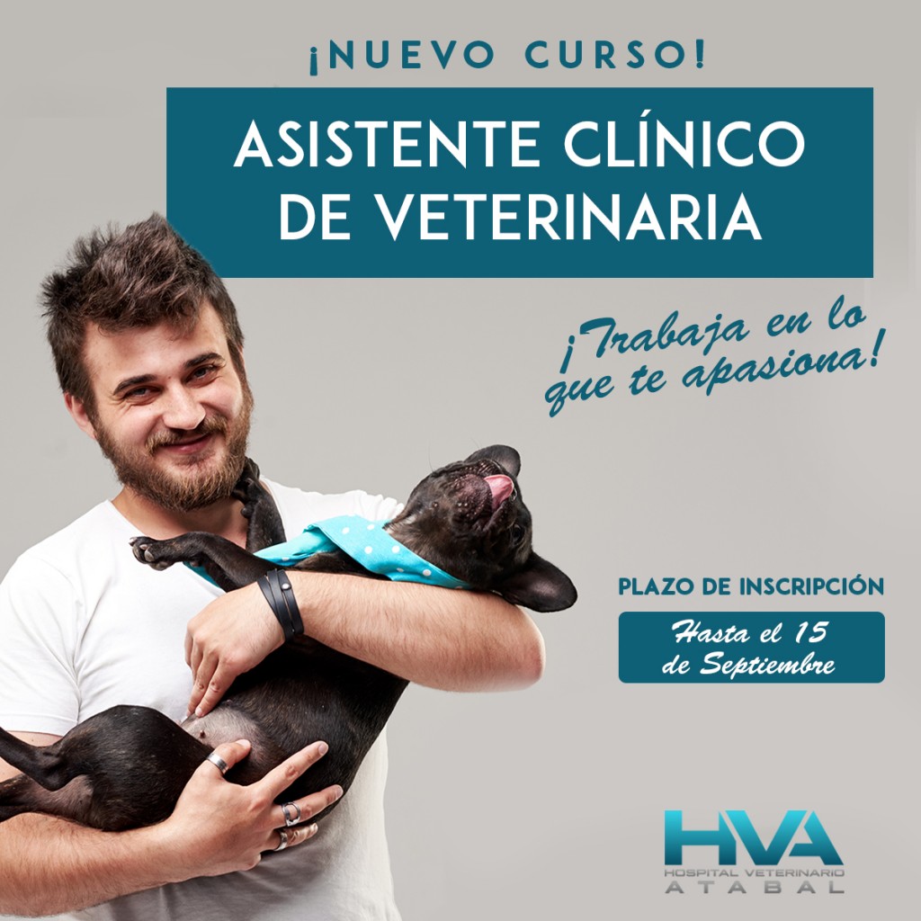 cursoAsistente Veterinario Málaga