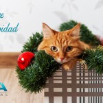 feliz navidad veterinario malaga